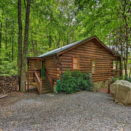 Pinot And Pine Chic Log Cabin About 5 Mi To Blue Ridge Villa Kültér fotó